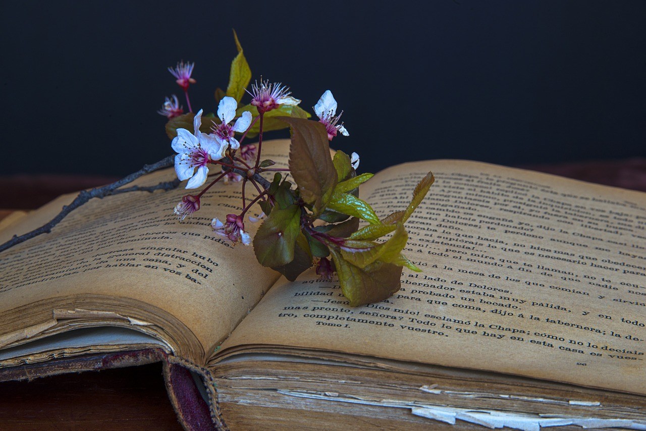 an antique open book on a table with cherry flowers on top